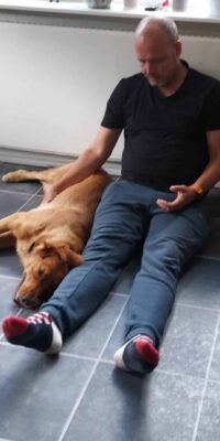 Healing af hund Healing af hund